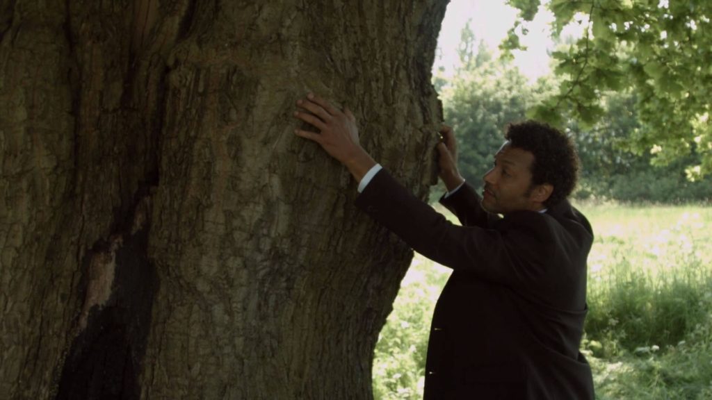 Climbing Trees - Short Film Review - Indie Shorts Mag