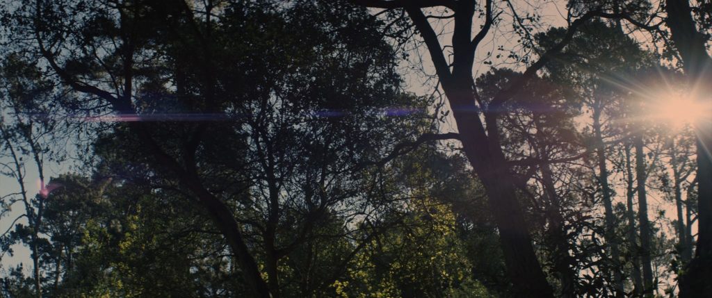 Symmetry - Short Film Review - Indie Shorts Mag