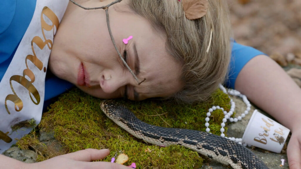 Unbridaled: Post-Bachelorette Party Disasters in Vermont