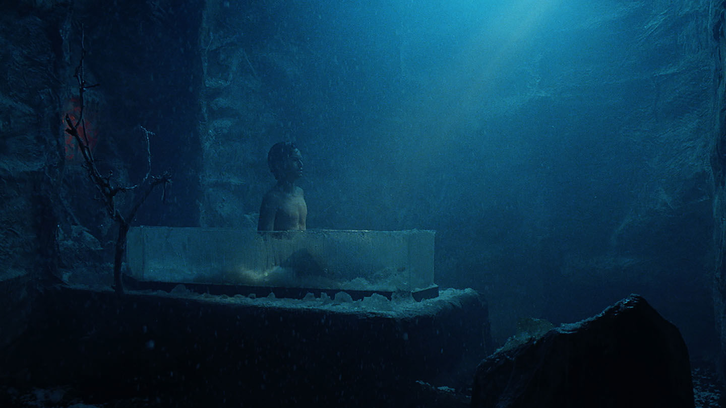 Skin: The Profundity of Transitioning, Distilled