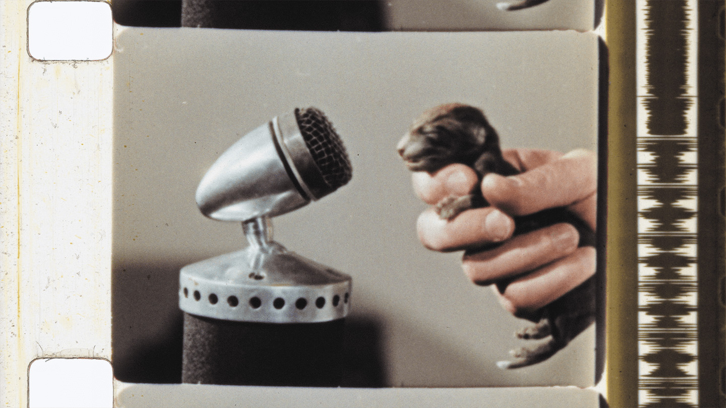 London’s Bertha DocHouse to Host 4th CINECITTÀ Italian Doc Season This July - BESTIARES, HERBARIA, LAPIDARIES - Documentary - Indie Shorts Mag