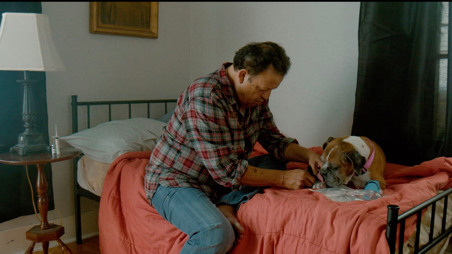 Roxy &amp; The Man: A Feel-Good Movie About A Furry Little Friend