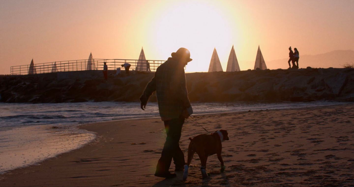 Roxy & The Man - Short Film Review - Indie Shorts Mag