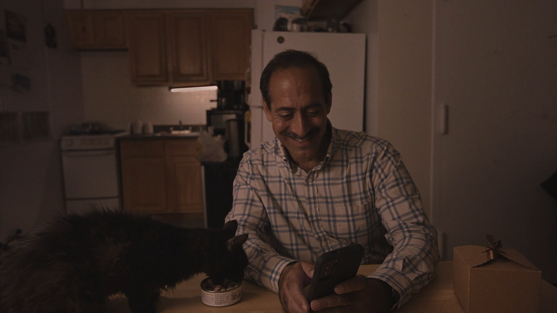 Strays - Short Film Review - Indie Shorts Mag