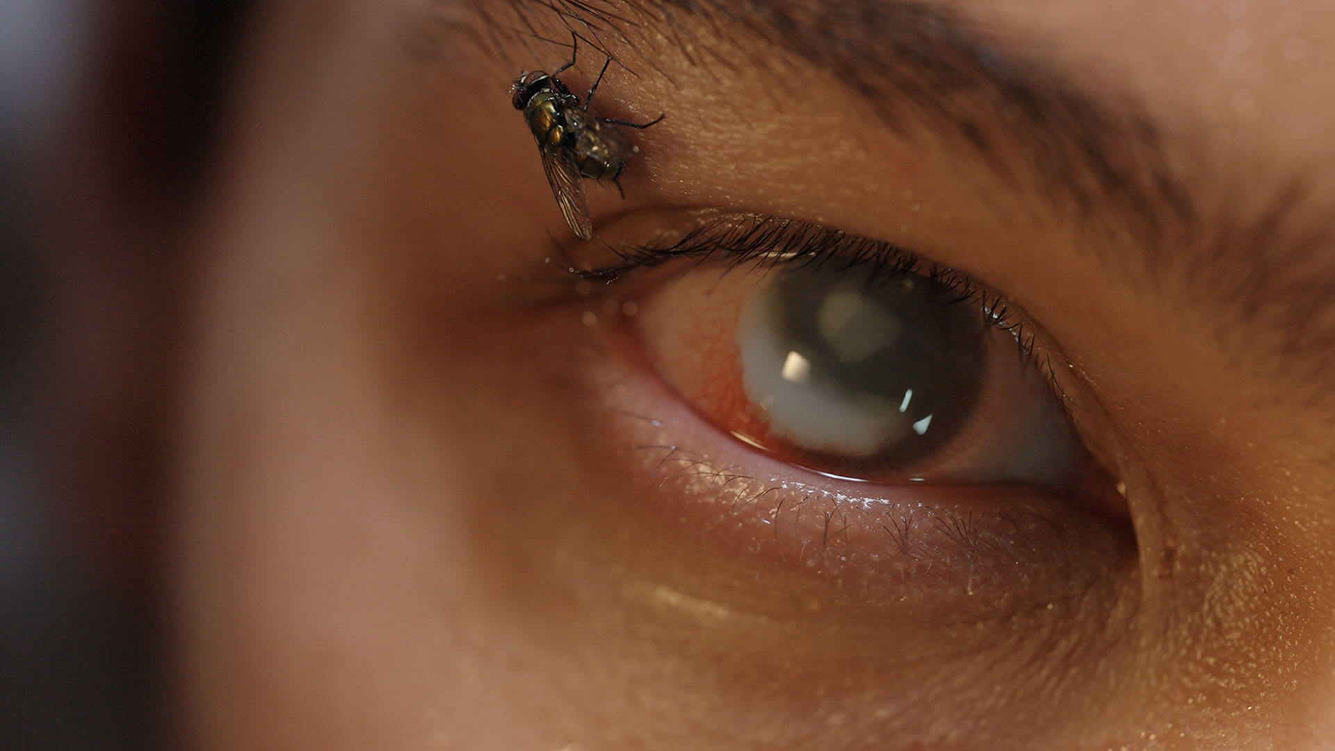 The Itch - Short Film Review - Indie Shorts Mag