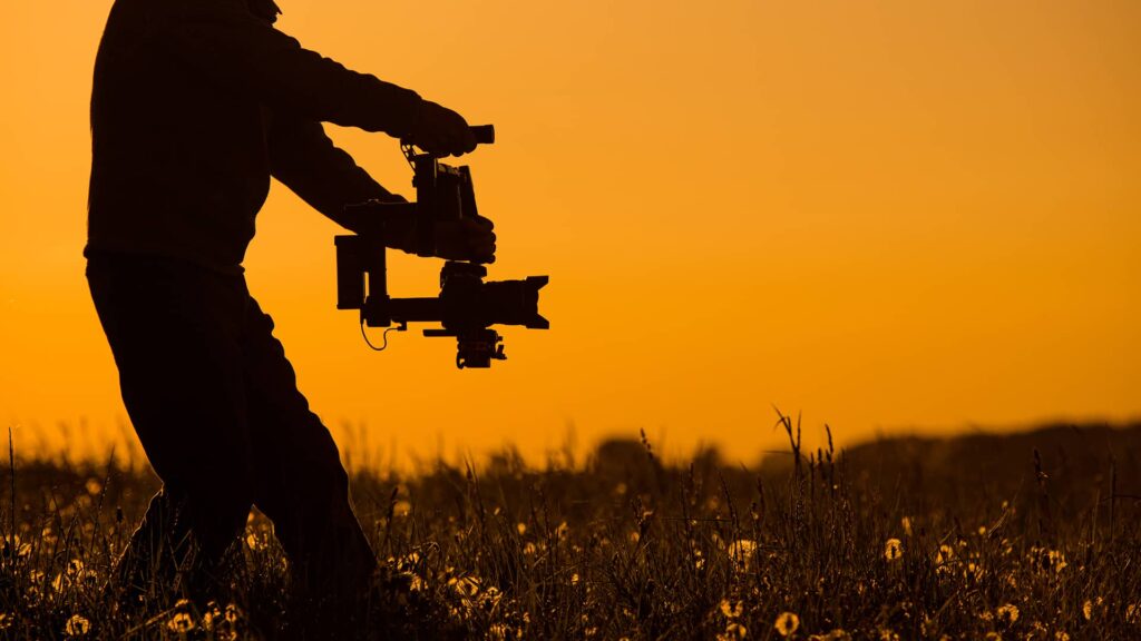 Camera Operator Works During Sunset Near Flowers